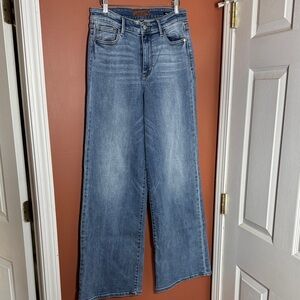 Judy Blue Wide Leg Blue Denim Jeans